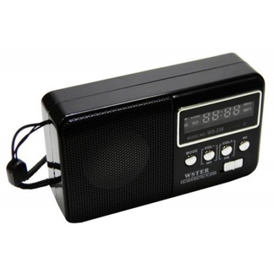 Колонка радио Mp3 WS-239