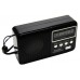 Колонка радио Mp3 WS-239