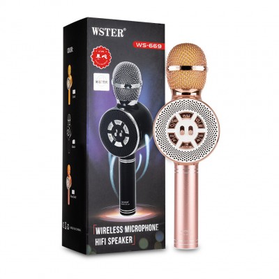Колонка микрофон Bluetooth Mp3 караоке WS-669