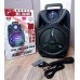 Колонка Bluetooth MP3 FM караоке с микрофоном DG-1002