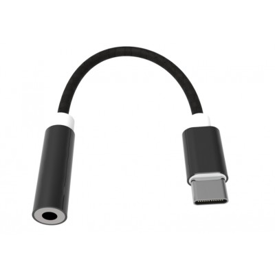 Переходник Type-C - 3.5 гнездо aux RITMIX RCC-032