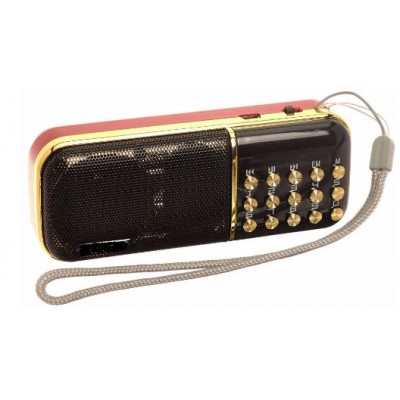 Колонка радио Mp3 MRM-Power B851