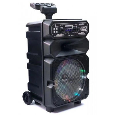 Колонка Bluetooth MP3 FM караоке с микрофоном DS-1814
