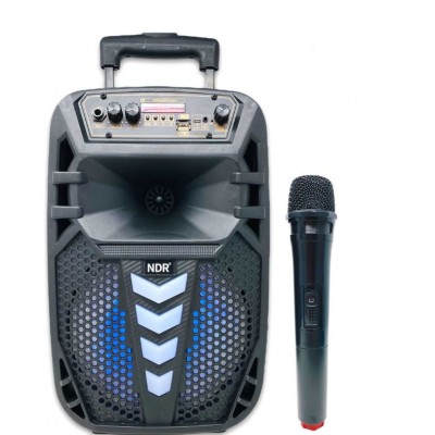 Колонка Bluetooth MP3 FM караоке с беспроводным микрофоном ND-W96